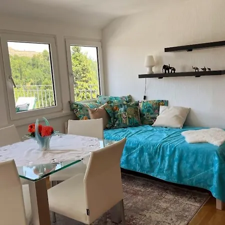 Am Eichhof Appartement Koblenz  Buitenkant foto
